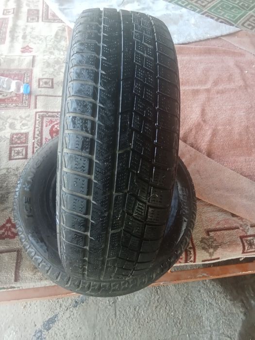 Балон екеуы летни екеуы зимни