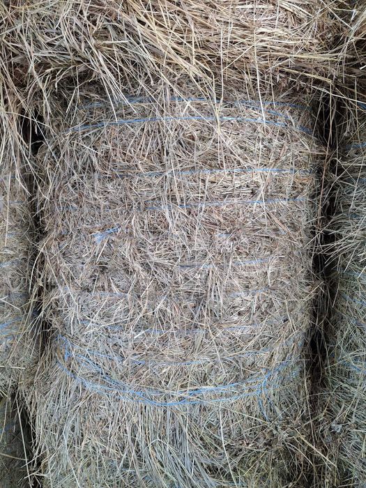 Baloti de fan si trifoi rotunzi