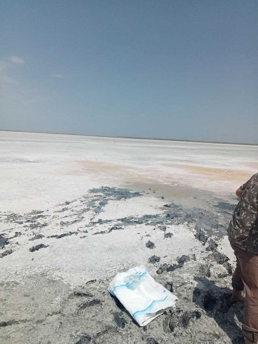 Mineral sho'lko'l shifobahsh balchig'i