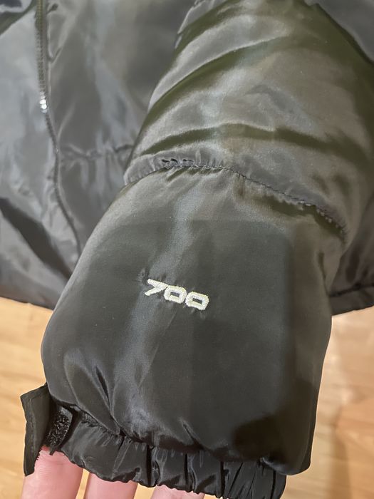 Мъжко зимно яке The North Face Puffer 700