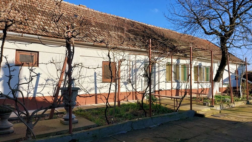 Vând 2 case în Chișineu Criș (schimb cu casă în Arad)