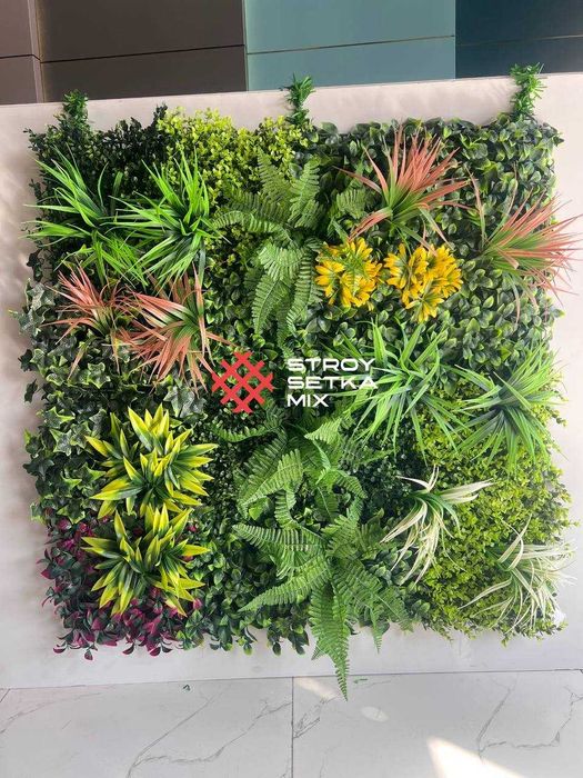 Fitostena kovrik optom narxda Фитостена оптом