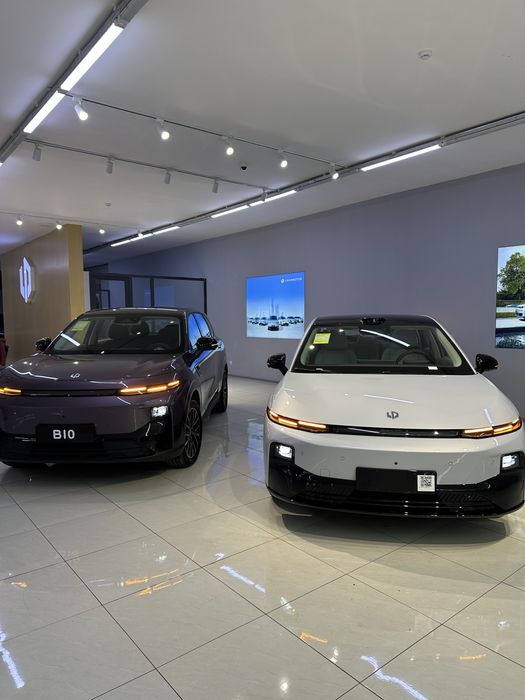 Leapmotor b10 b01 650km