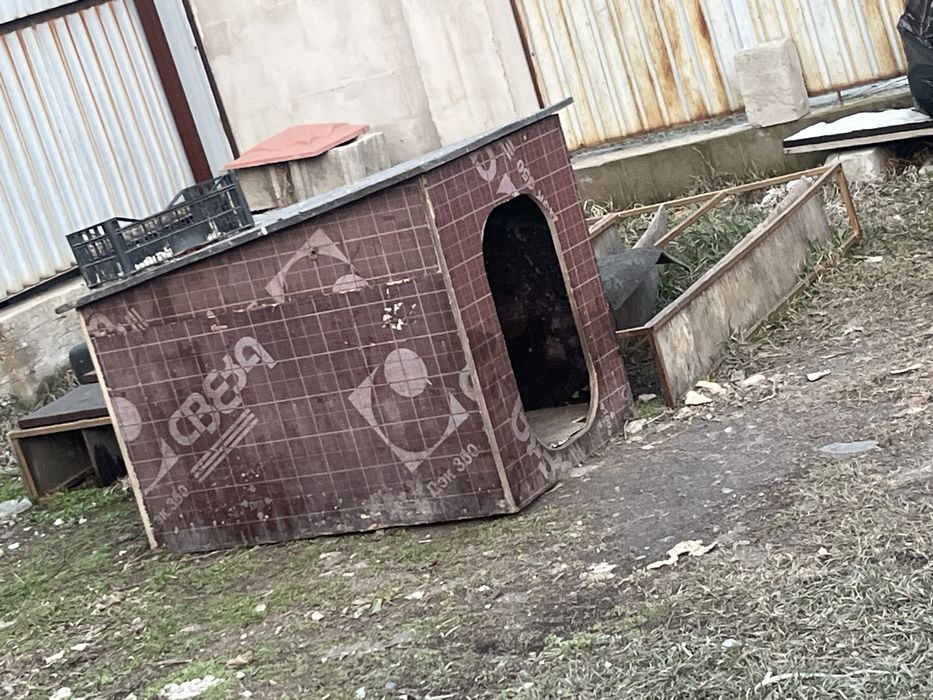 Продам домик для большой собаки