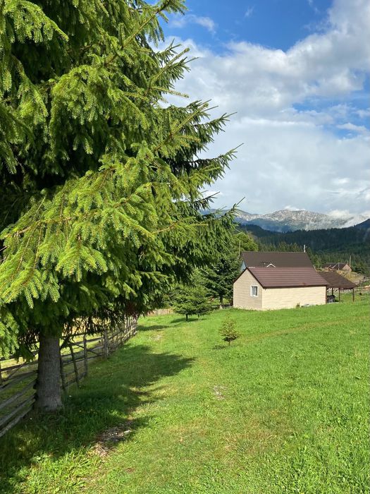 Cabana la munte de închiriat Fundata
