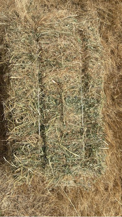 Сено тюки 1 укос самовывоз