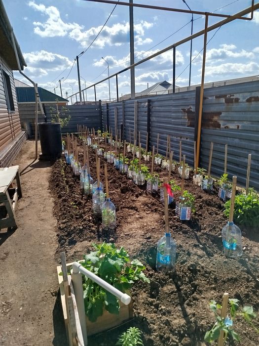 продажа отдельно