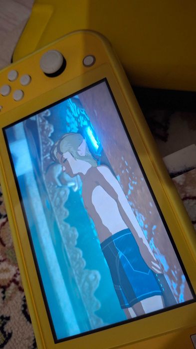 Nintendo switch lite