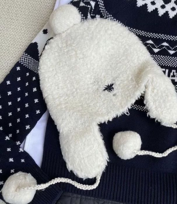 Dior жилетка и шапка