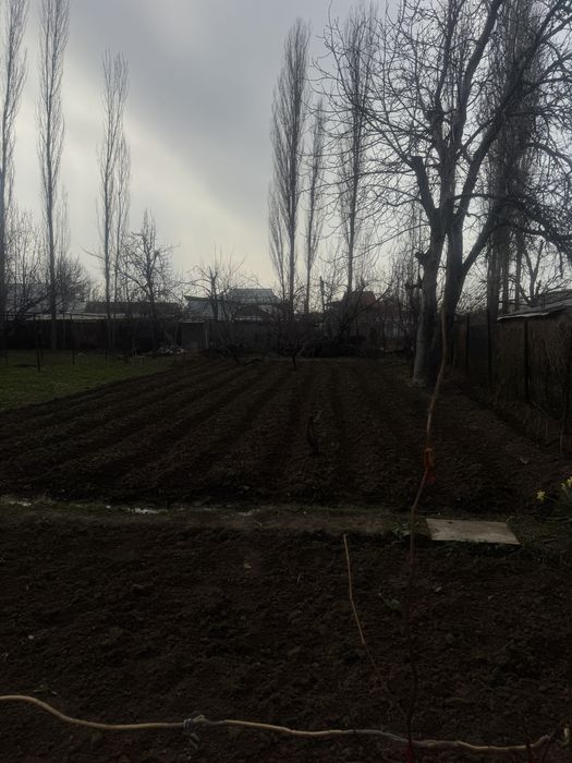 Срочно продается земля в ташкентской области