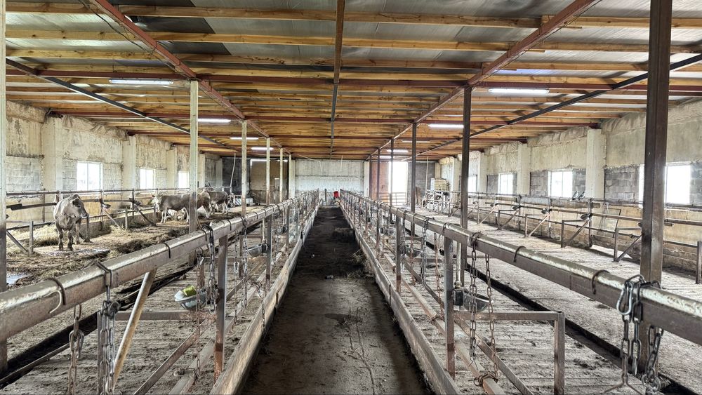 Продам хозяйство село Ошаганды