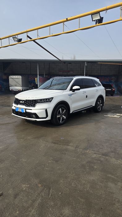 2021, kraska tozza, 7 kishilik