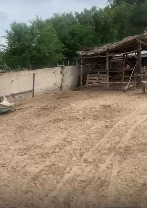 Фазенда сатамынн