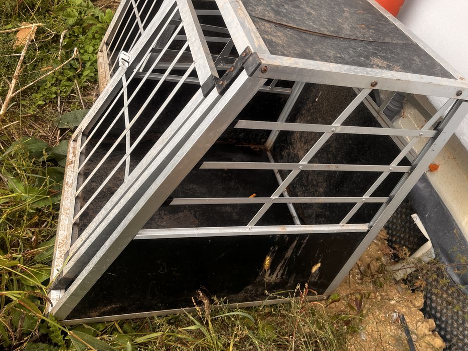 Cusca transport caine