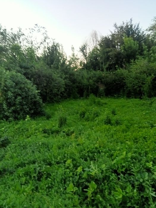 Продам дачу" Жемчужина"