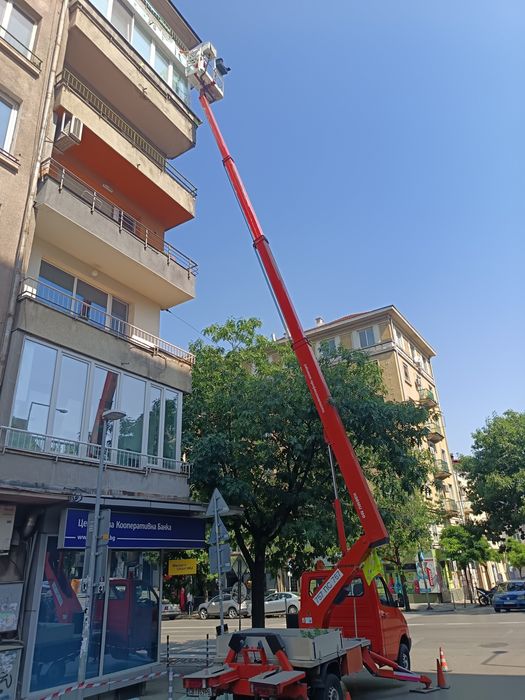 Рязане и катерене на дървета