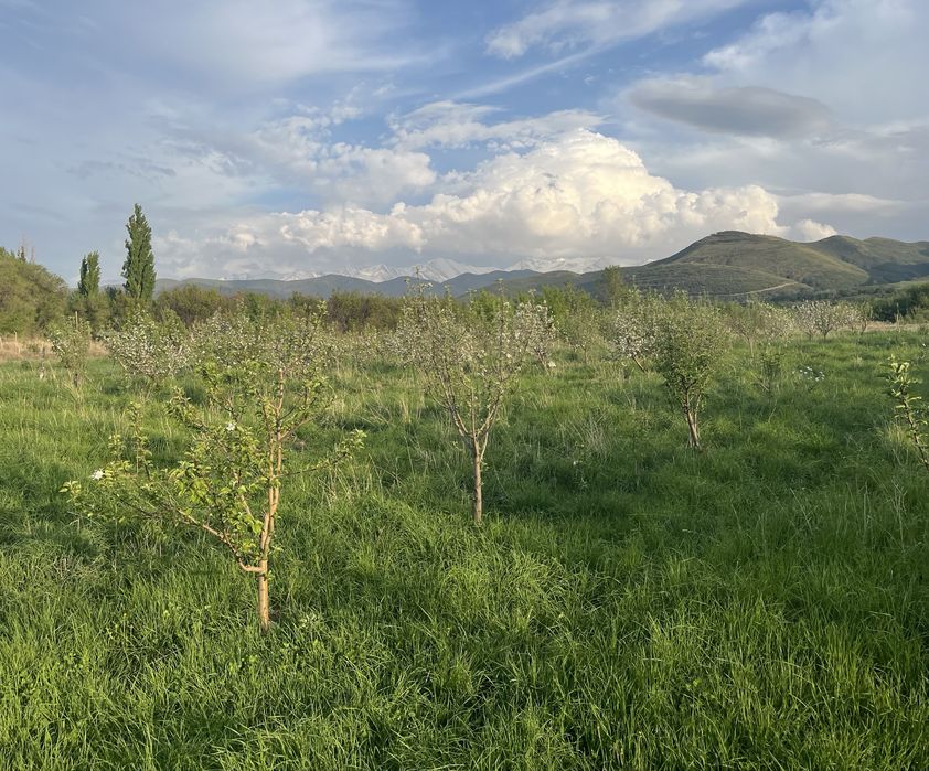 Отдых на природе