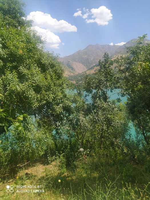 Ховли сотилади Hovli sotiladi Продается участок