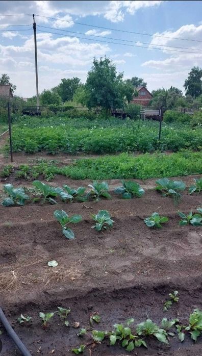 Продам дачу ,садоводство металлург