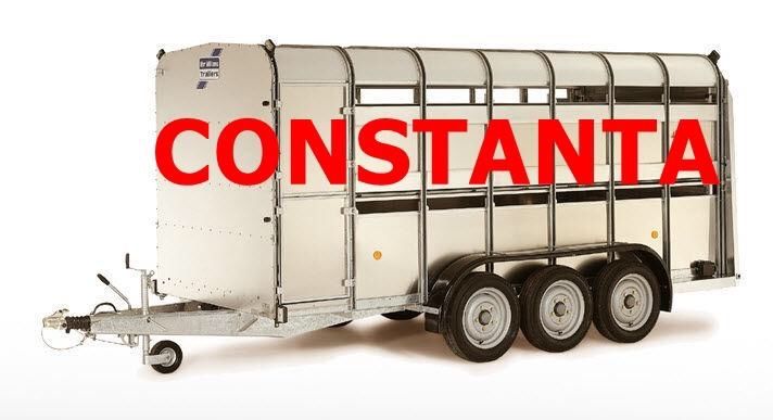 Transport animale vii autorizat / livestock