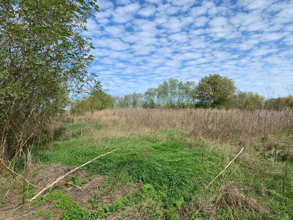 Продава се Парцел в Варна, Северна промишлена зона - 1870 кв.м за 16 €/кв.м - Снимка #4