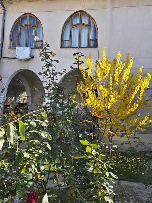 Продаю свой добротный дом, угловой на Бадамзаре