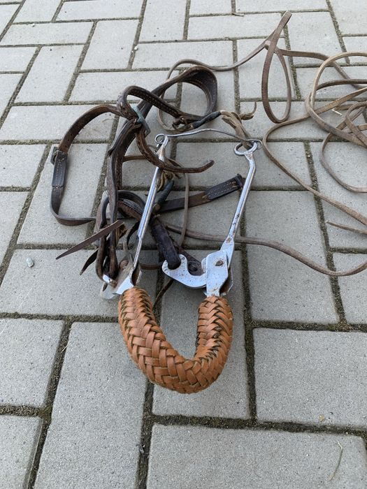 SA  calarie piele