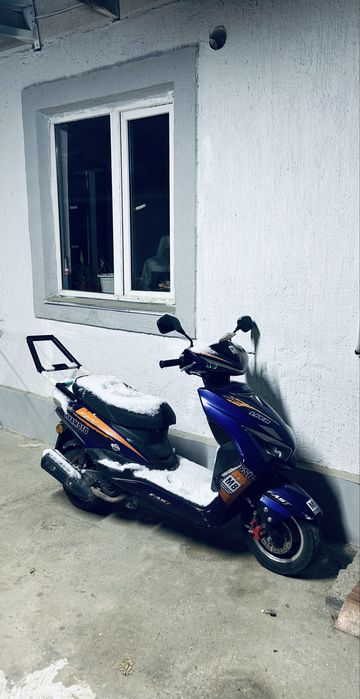 На продаже лия сурпа