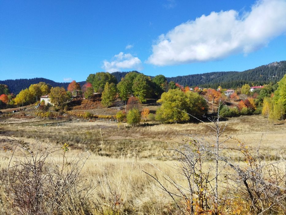 Продава се Парцел в Смолян, Езерово - 3136 кв.м за 35 €/кв.м - Снимка #7