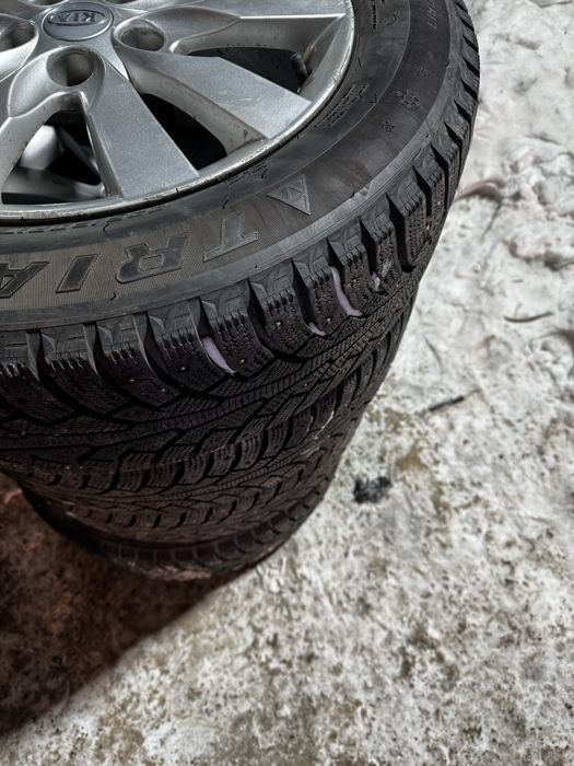 Зимни шына шыповка