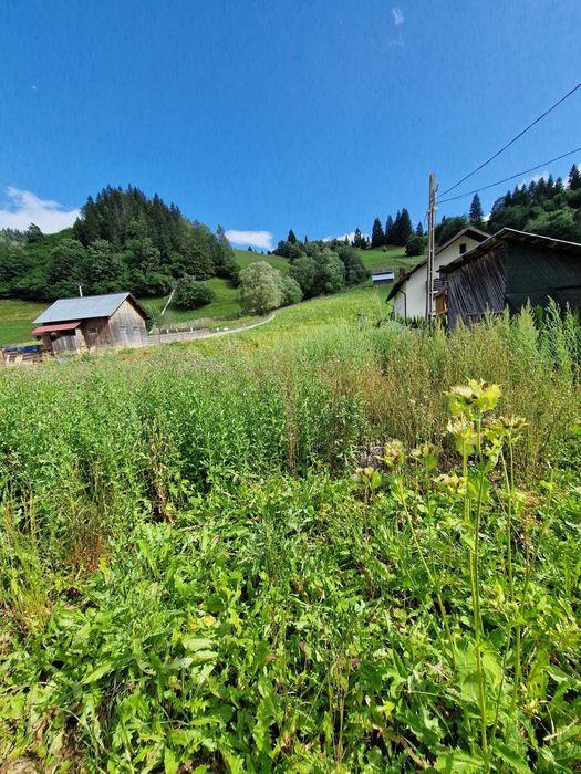 Teren cu casa de vanzare,Câmpulung Moldovenesc,strada Izvorul Alb