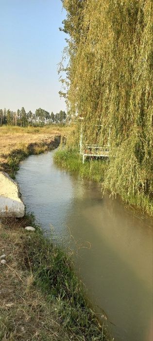 Toshkent viloyat yuqori chirchiq tumanida dam olish uchun tapchanlar s