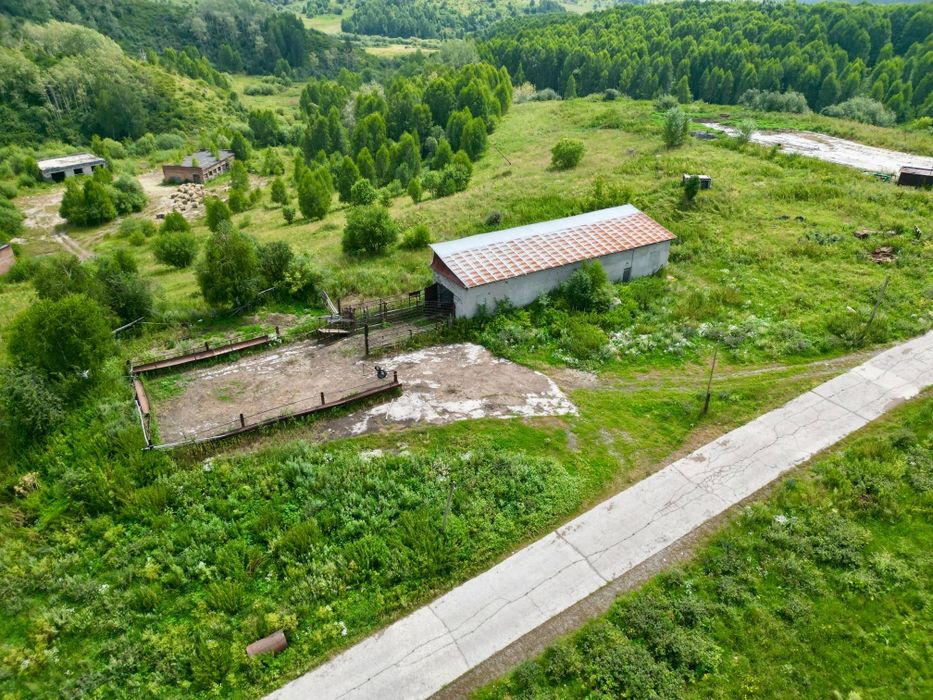 Продаётся крестьянское хозяйство