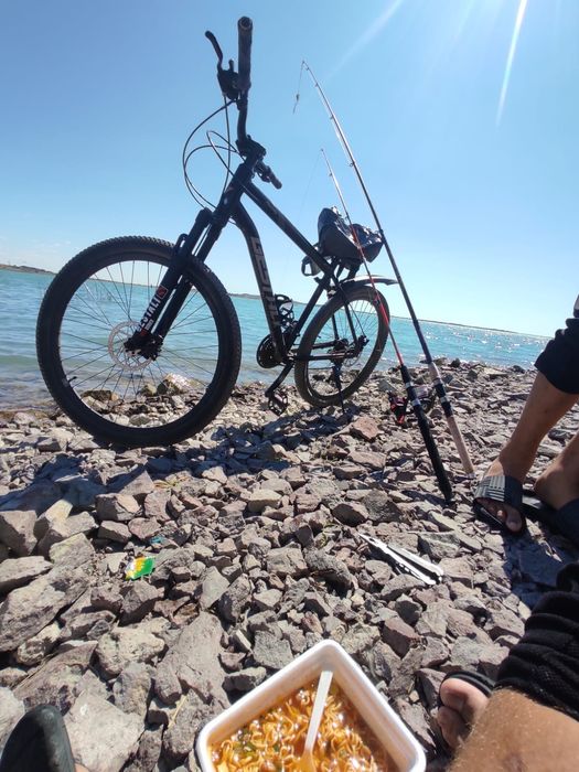 Велосипед Gestalt bronco f7