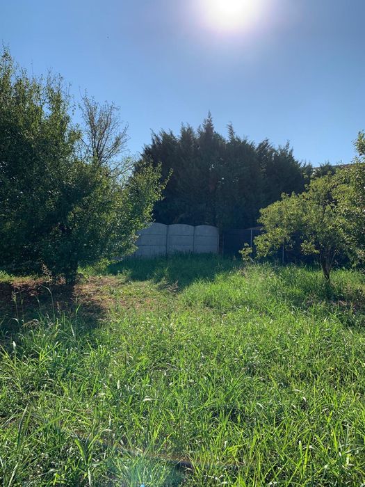 Casa Individuala Dumbravita