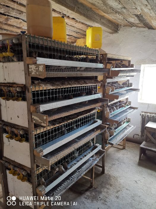 Уй сатылады. Продаётся дом.