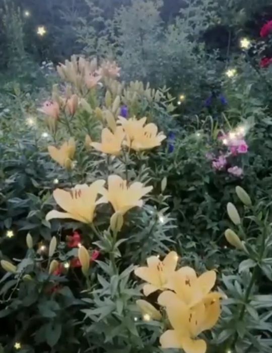 Продам дачу С/К Дорожник