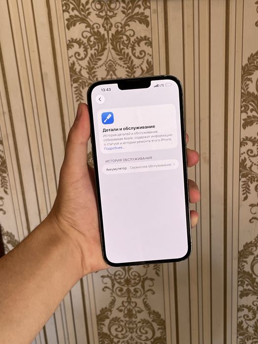 iPhone 13 pro max ideal