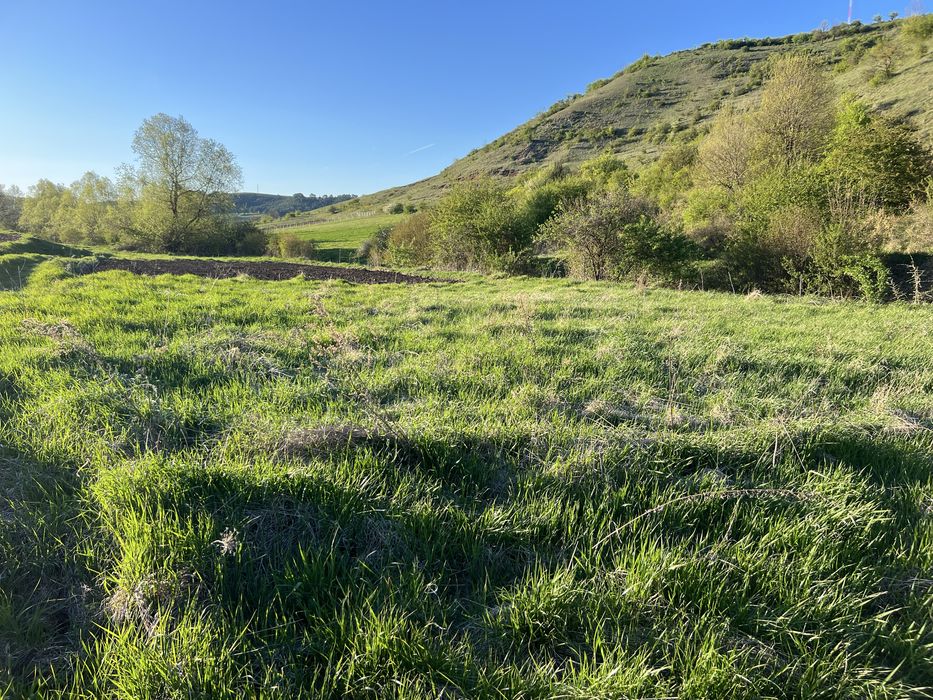 Vand teren extravilan in satul Savadisla