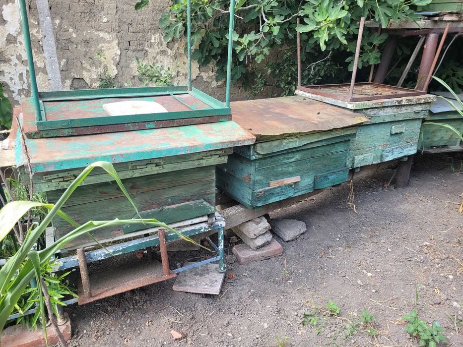 Lichidare de Stupi de Albine + Centrifuga