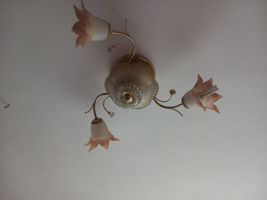 Запазен  Полилей