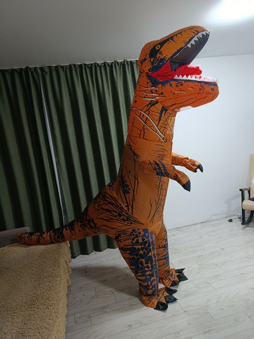 Костюмы ростовых медведя, лягушки