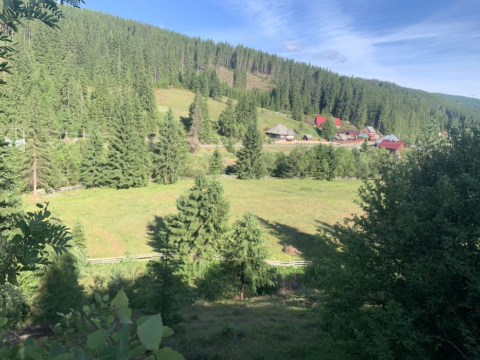 Teren intravilan Poiana Horea