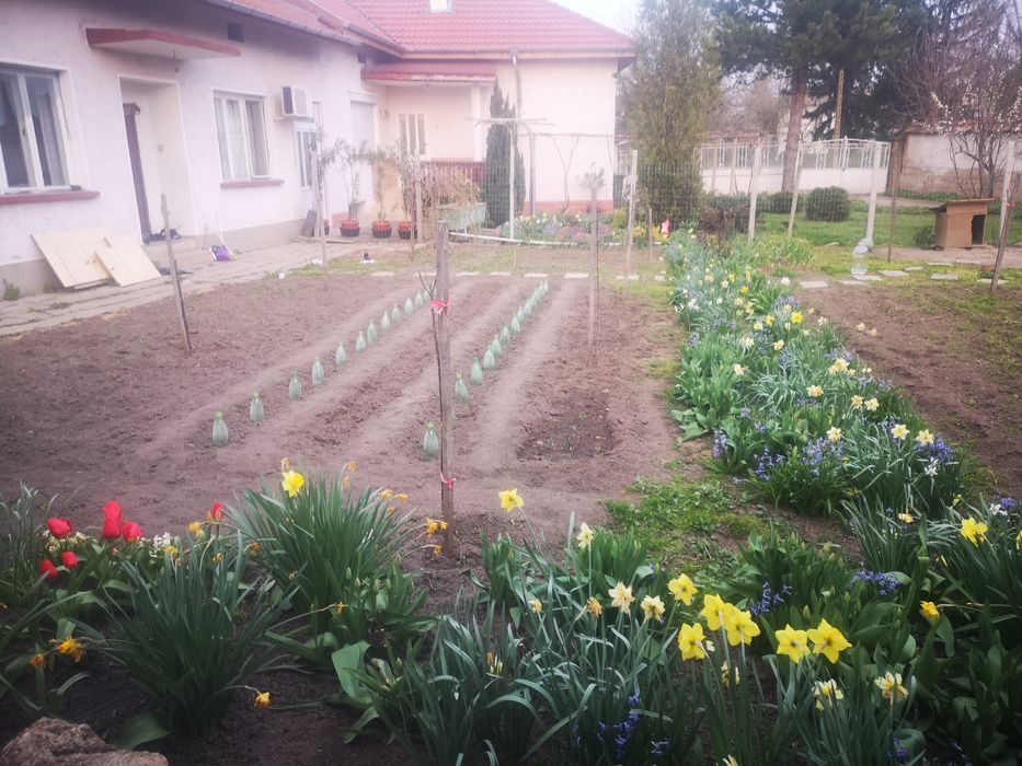 Продава се Къща в Долни Дъбник - 50 кв.м за 900 €/кв.м - Снимка #13