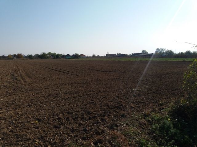 Investitie! Intravilan 55 ari capat Paulesti (intrare Ambud), 36 m.f.