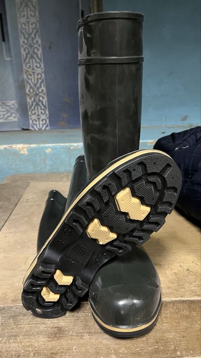 Резиновые сапоги