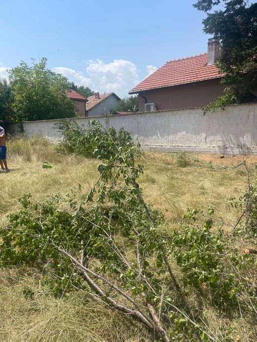 Кърти чисти извозва хамалски услуги рязане на дървета