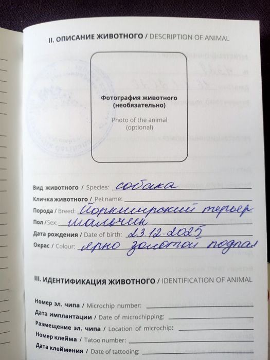 Йоркширский терьер