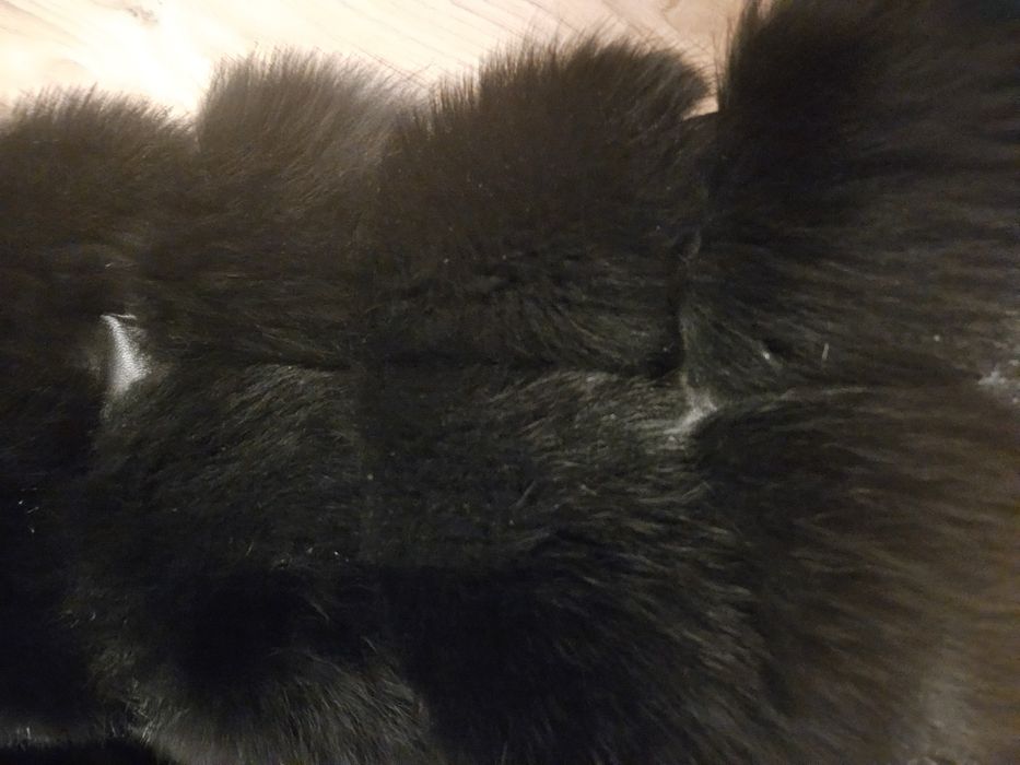 Vesta blana naturala noua