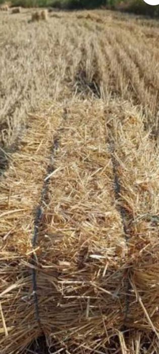 Baloti de paie dreptunghiulari